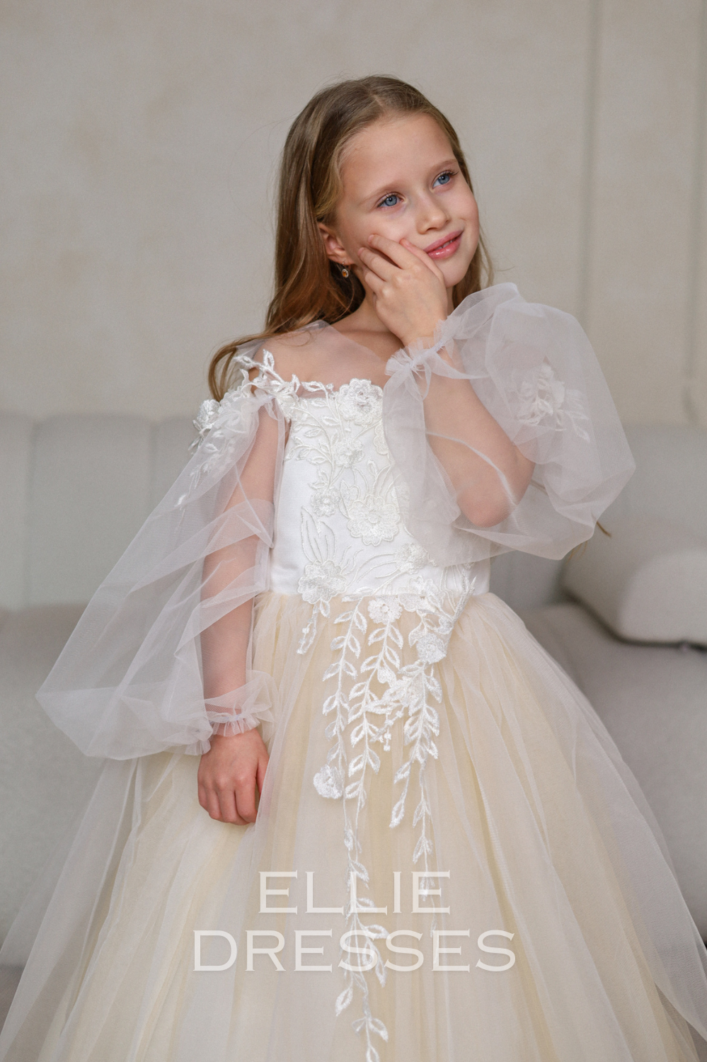 Long Sleeve Puffy Dress