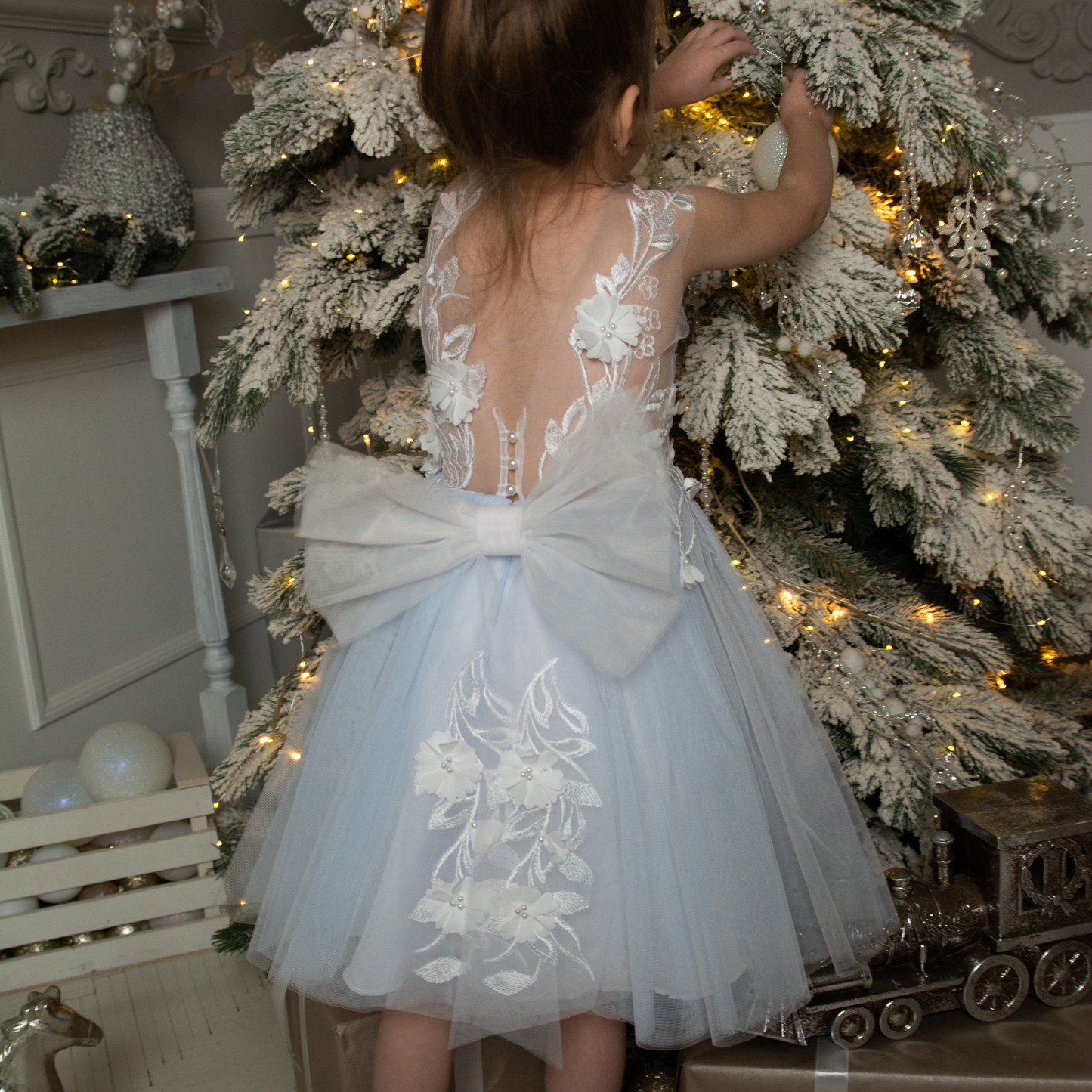 Light Blue Tutu Dress