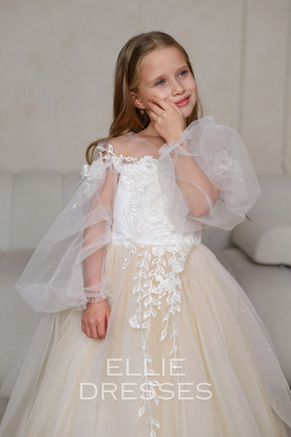 Long Sleeve Puffy Dress