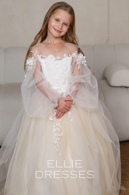 Long Sleeve Puffy Dress