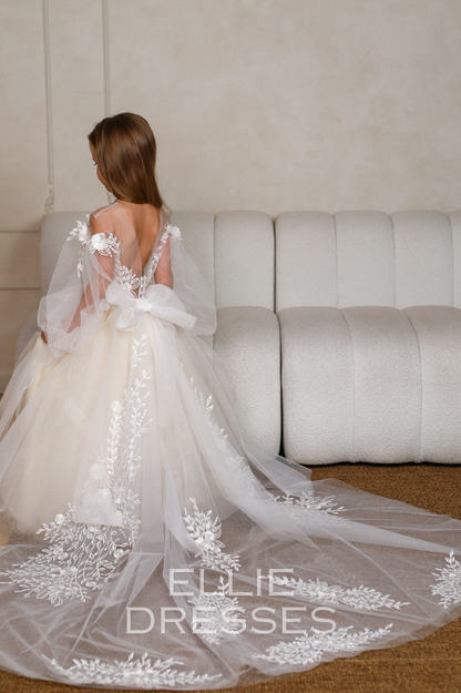 Long Sleeve Puffy Dress