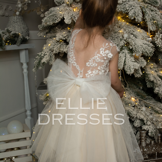 Tutu Dress with Nude skirt D2