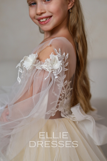 Long Sleeve Puffy Dress