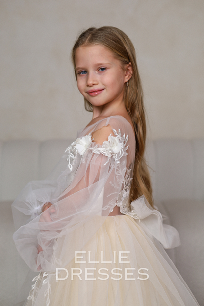 Long Sleeve Puffy Dress