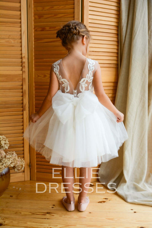 Toddler Tutu Dress D6