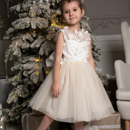 Nude Skirt Tutu Dress