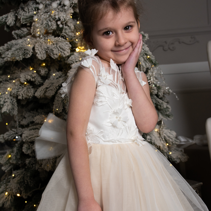 Nude Skirt Tutu Dress