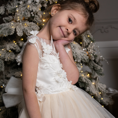 Nude Skirt Tutu Dress