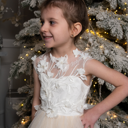 Nude Skirt Tutu Dress