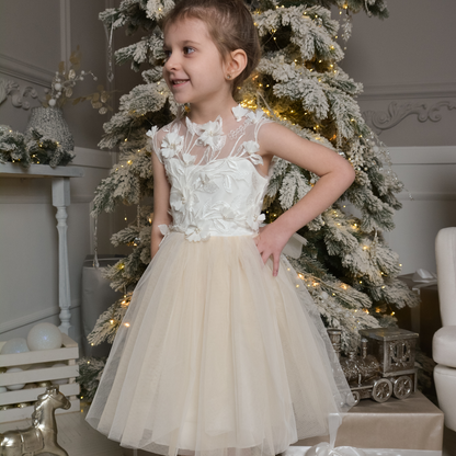 Nude Skirt Tutu Dress