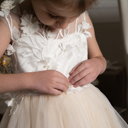 Nude Skirt Tutu Dress