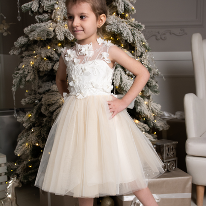 Nude Skirt Tutu Dress