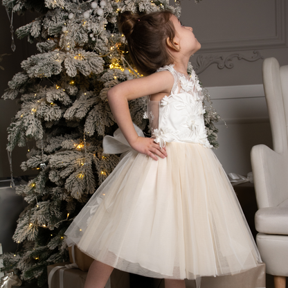 Nude Skirt Tutu Dress