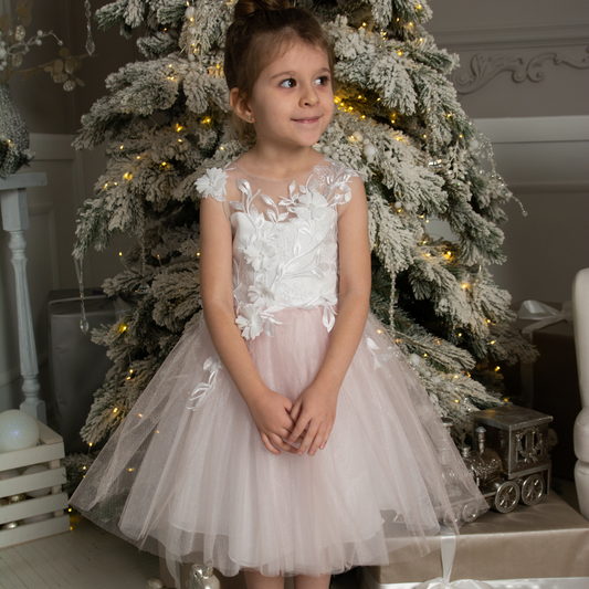 Pink Tutu Dress